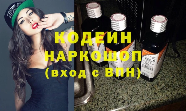 гашик Бородино