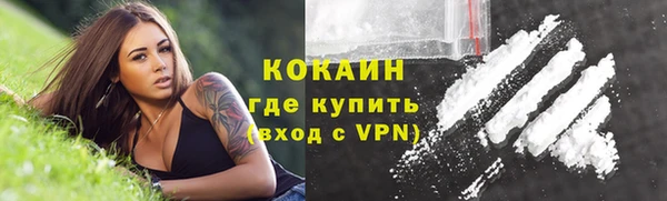 бошки Бронницы