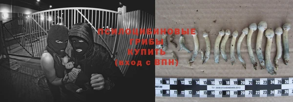 бошки Бронницы