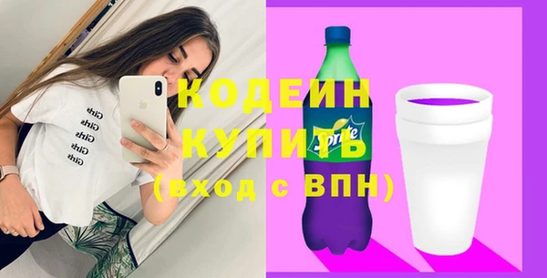 гашик Бородино