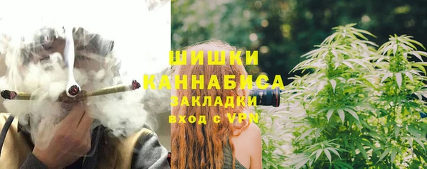 бошки Бронницы