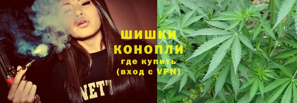 гашик Бородино
