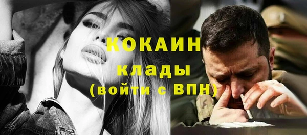 бошки Бронницы