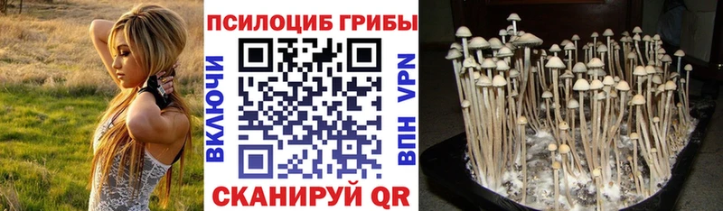 Купить закладки  Биробиджан  Псилоцибиновые грибы Cubensis 